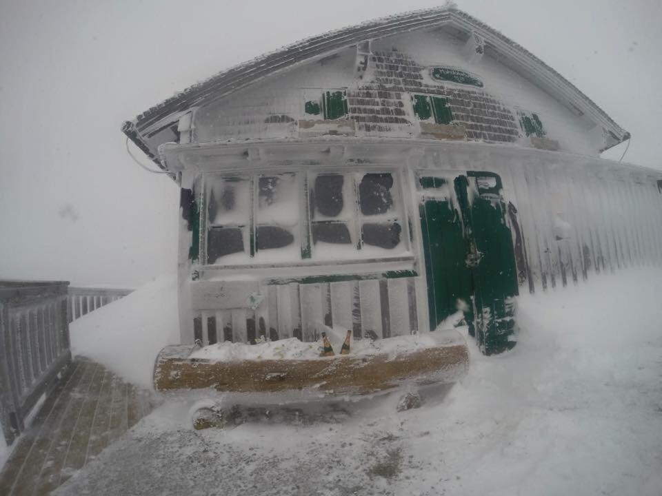 Haus Schlager "Dasappartement" Annaberg im Lammertal Exterior foto