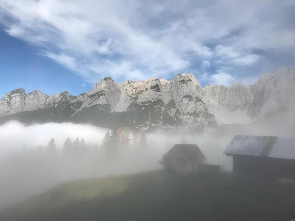 Haus Schlager "Dasappartement" Annaberg im Lammertal Exterior foto